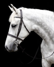 Load image into Gallery viewer, Cavallino show bridle with leather reins

