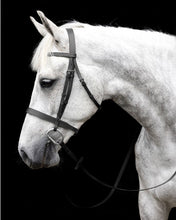 Load image into Gallery viewer, Cavallino show bridle with leather reins
