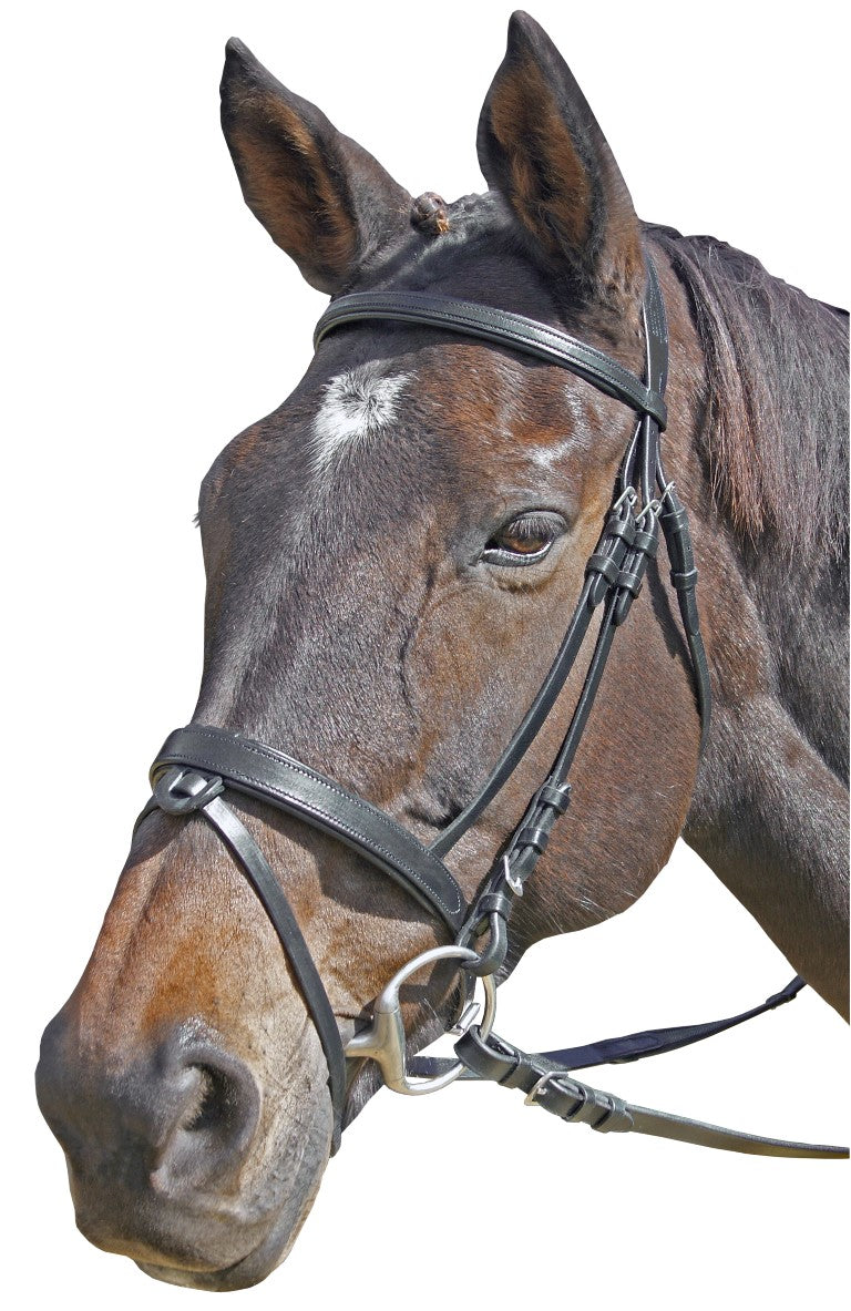 CAVALLINO FINE FLAT PADDED BRIDLE